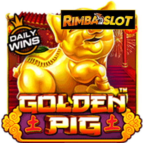 Golden Pig